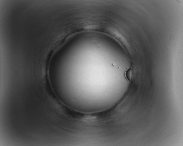 X0000089870257200707121759