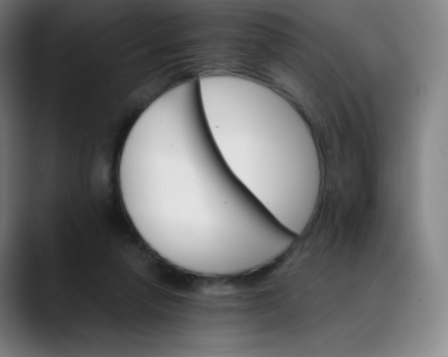 X0000089870258200707121759