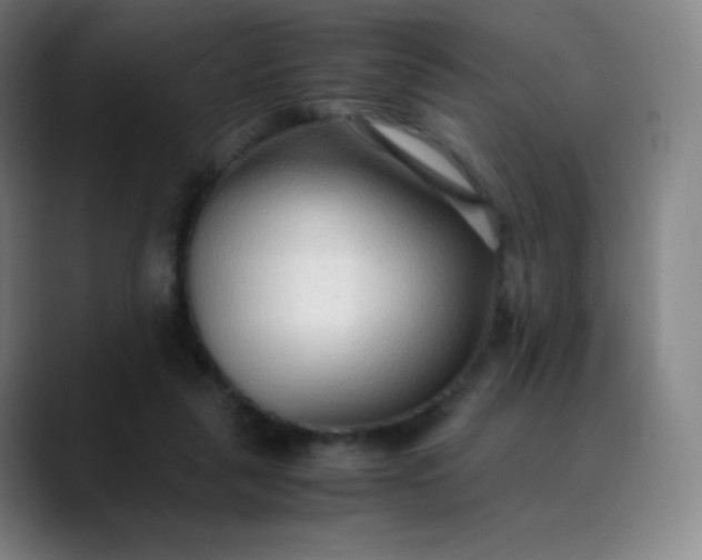 X0000089870259200707121759