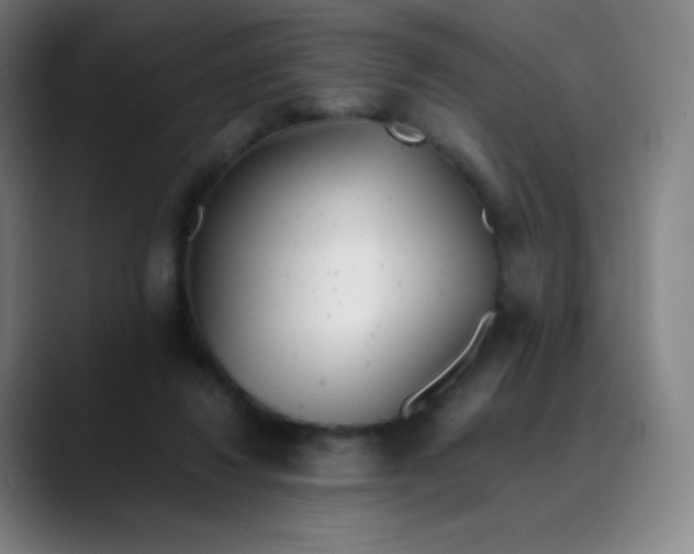 X0000089870260200707121759