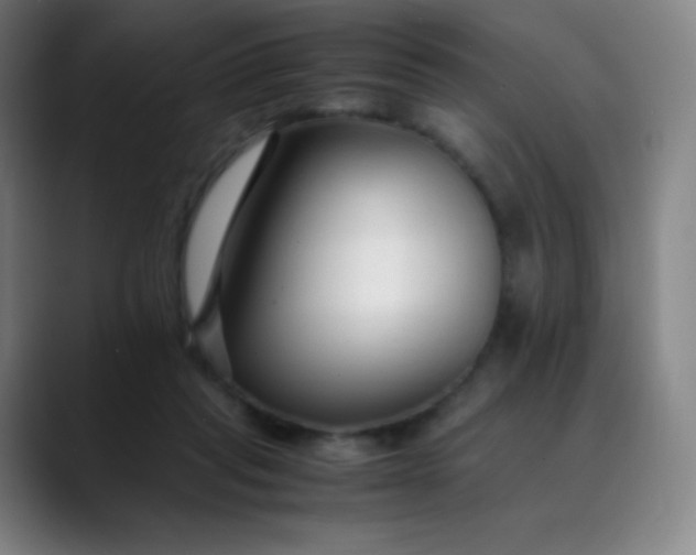 X0000089870261200707121759