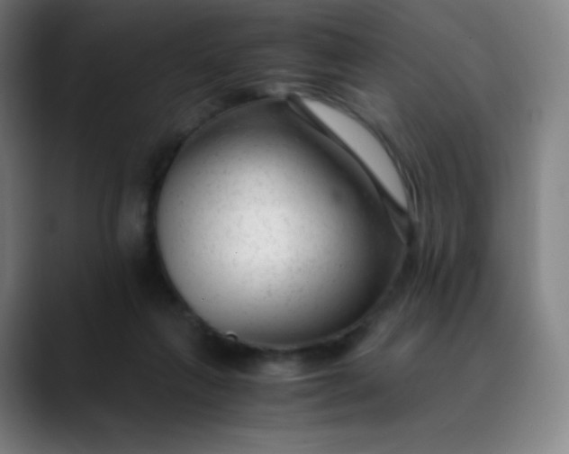 X0000089870263200707121759