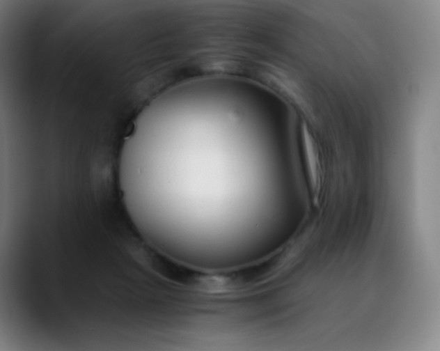 X0000089870265200707121759