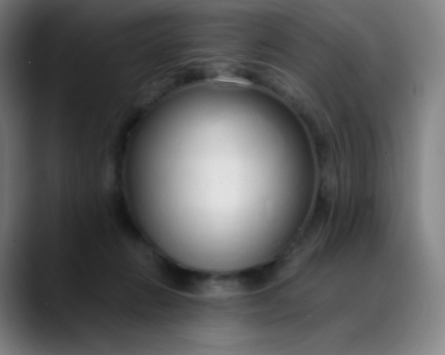 X0000089870270200707121759