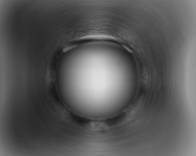 X0000089870272200707121759