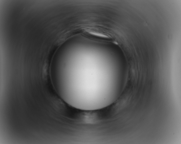 X0000089870275200707121759