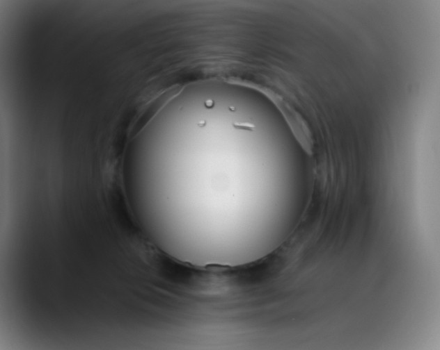 X0000089870276200707121759