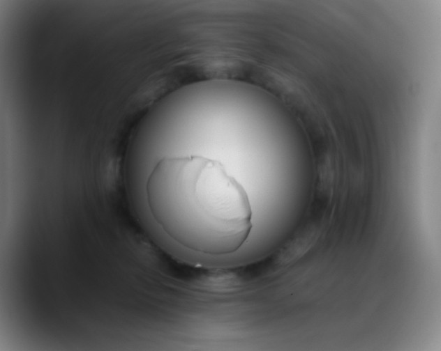 X0000089870278200707121759