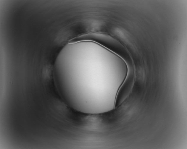 X0000089870280200707121759