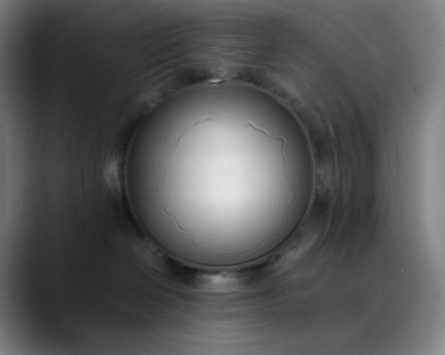 X0000089870286200707121800