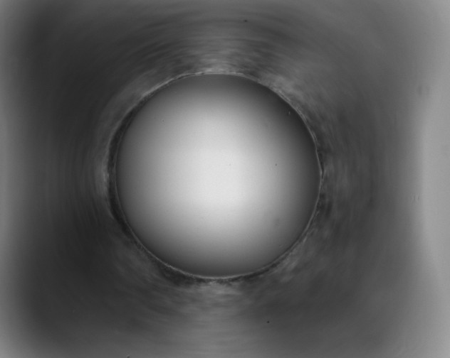 X0000089870290200707121759