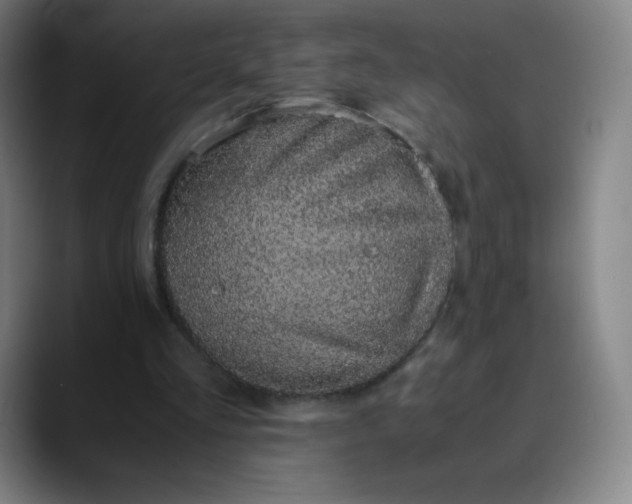 X0000089870293200707121759