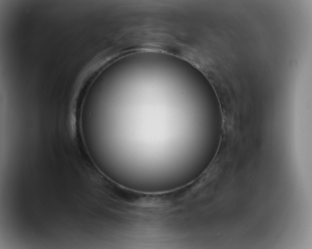 X0000089870294200707121759