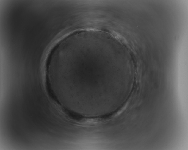 X0000089870295200707121759