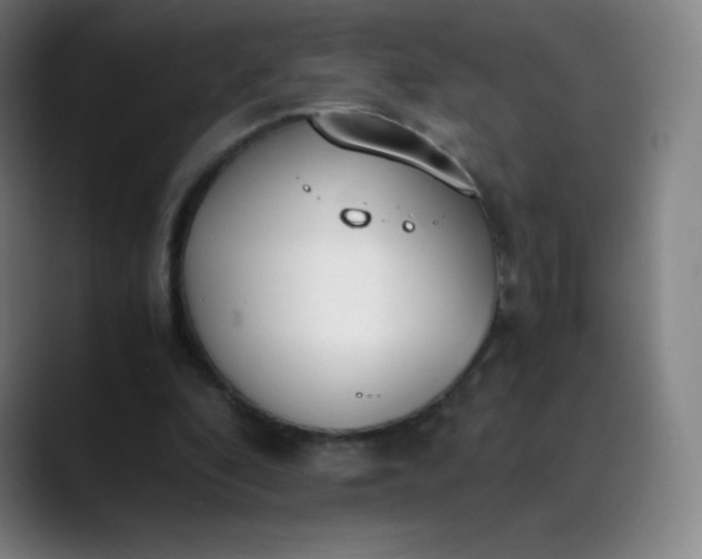 X0000089870296200707121759