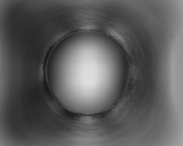 X0000089870298200707121759