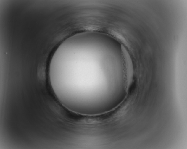 X0000089870299200707121759