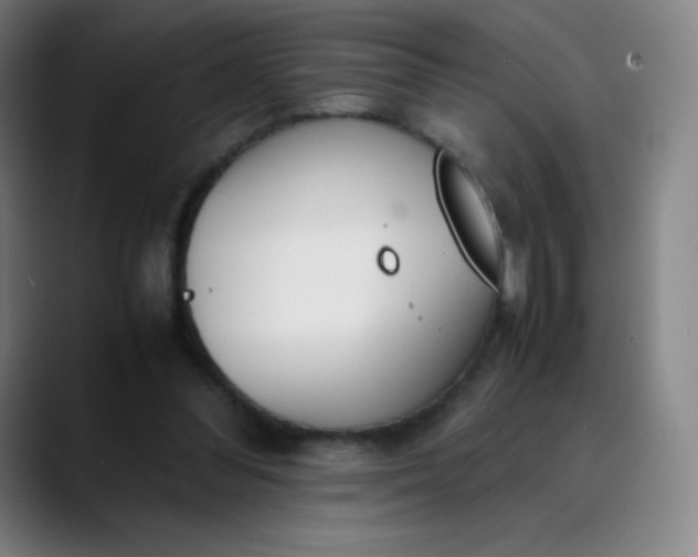 X0000089870300200707121759