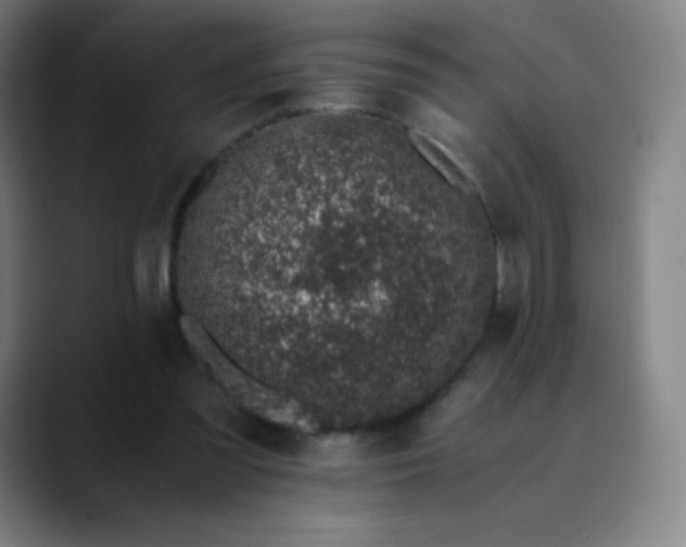 X0000089870301200707121759