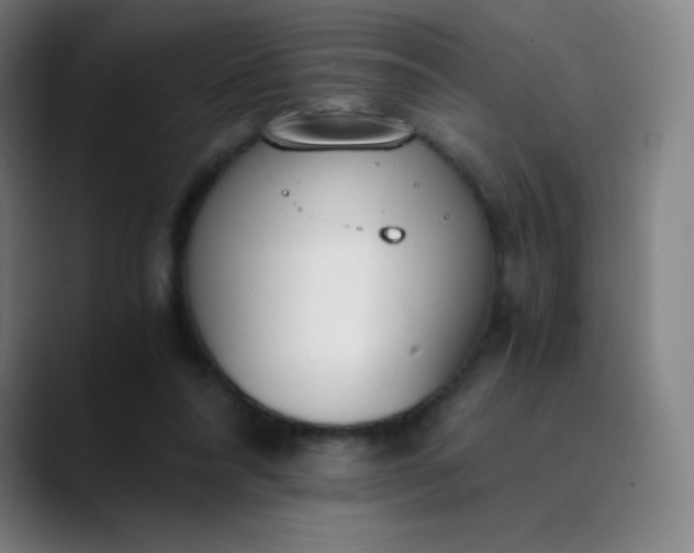 X0000089870304200707121759