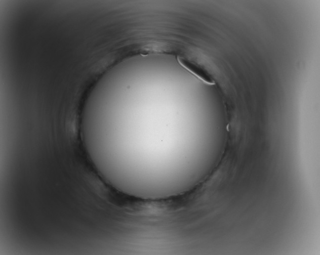 X0000089870305200707121759