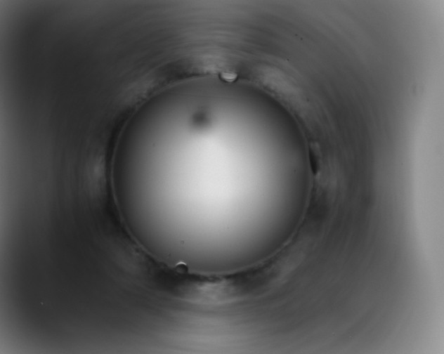 X0000089870306200707121759