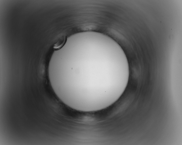 X0000089870308200707121759