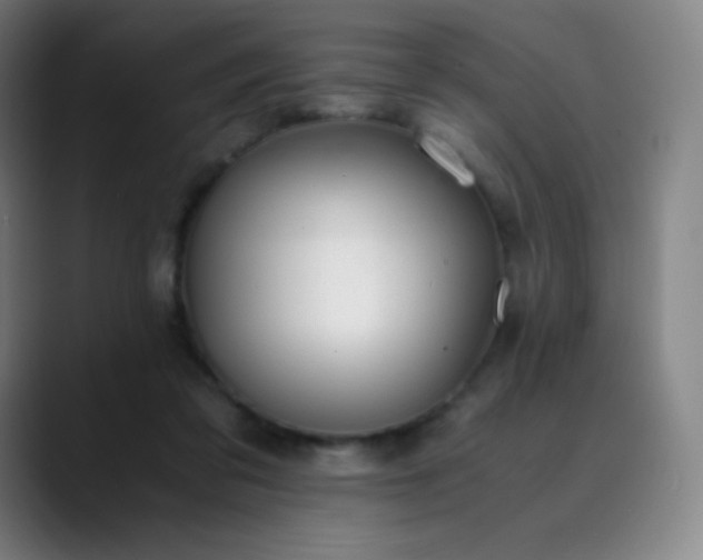 X0000089870309200707121759