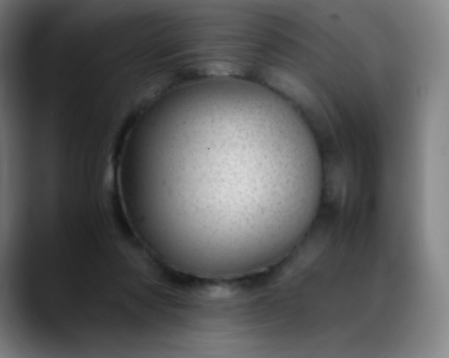 X0000089870310200707121759