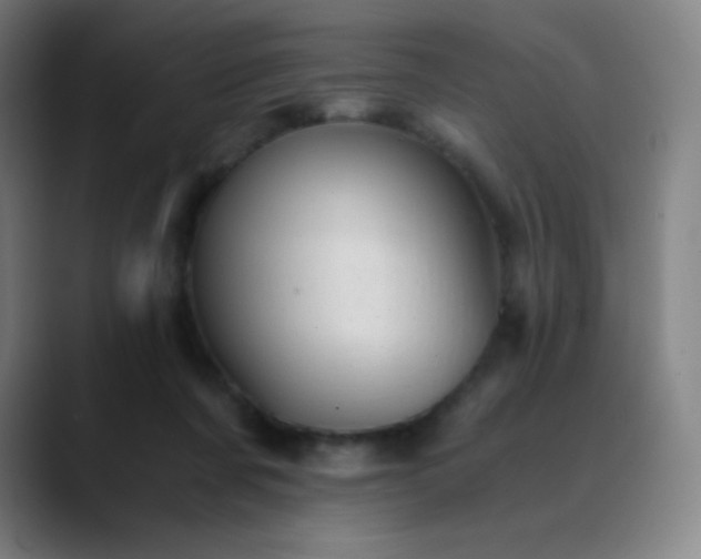 X0000089870311200707121759