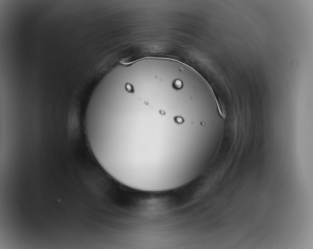 X0000089870312200707121759