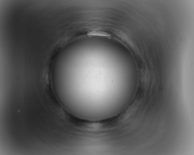 X0000089870313200707121759