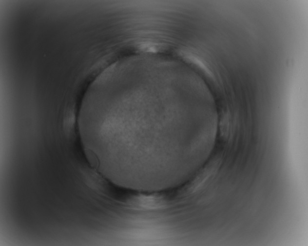 X0000089870314200707121759