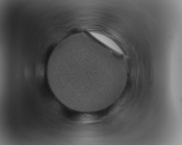 X0000089870315200707121759