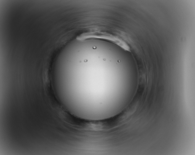 X0000089870317200707121759