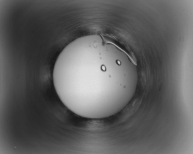 X0000089870320200707121759