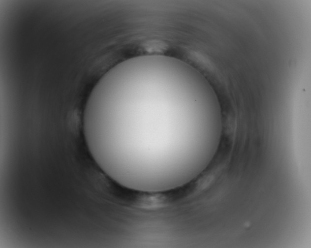 X0000089870321200707121759