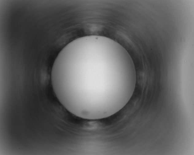 X0000089870324200707121759