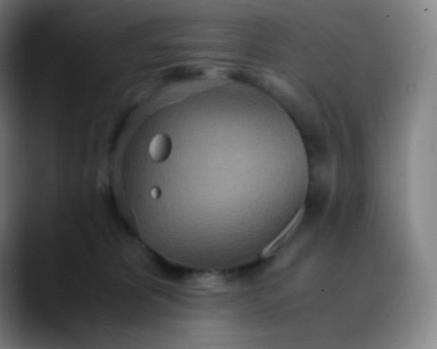 X0000089870325200707121759