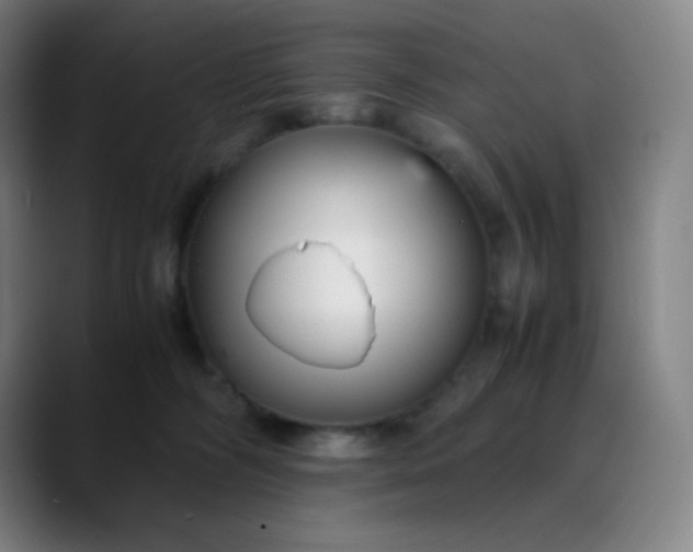 X0000089870326200707121759