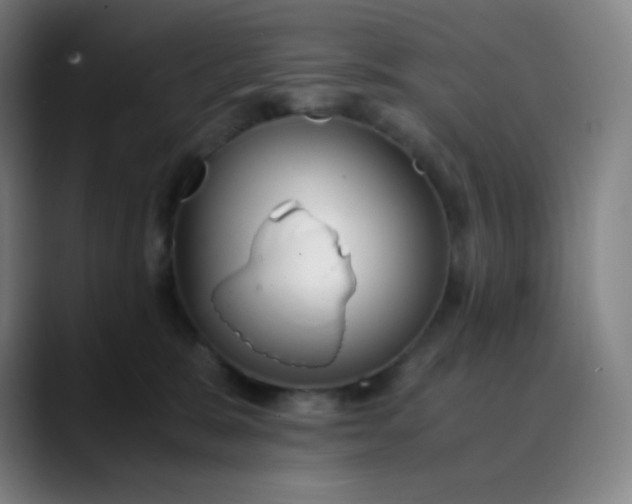 X0000089870327200707121759