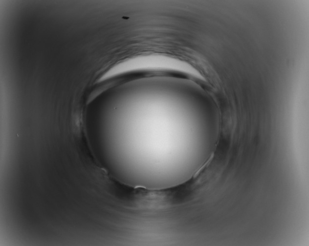 X0000089870329200707121759