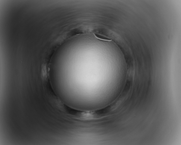 X0000089870335200707121758