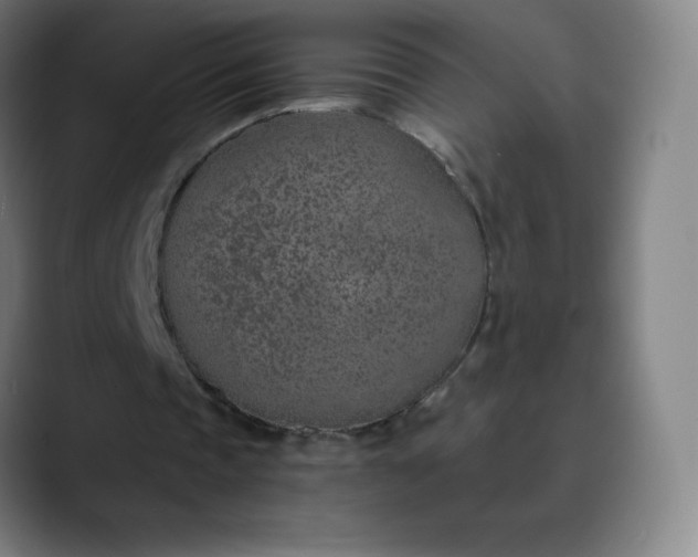 X0000089870337200707121758