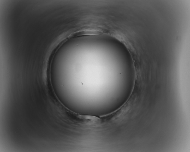 X0000089870340200707121758