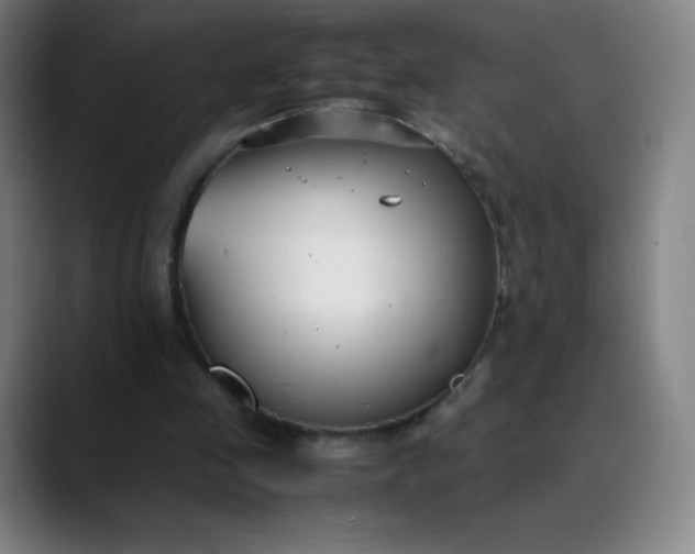 X0000089870341200707121758