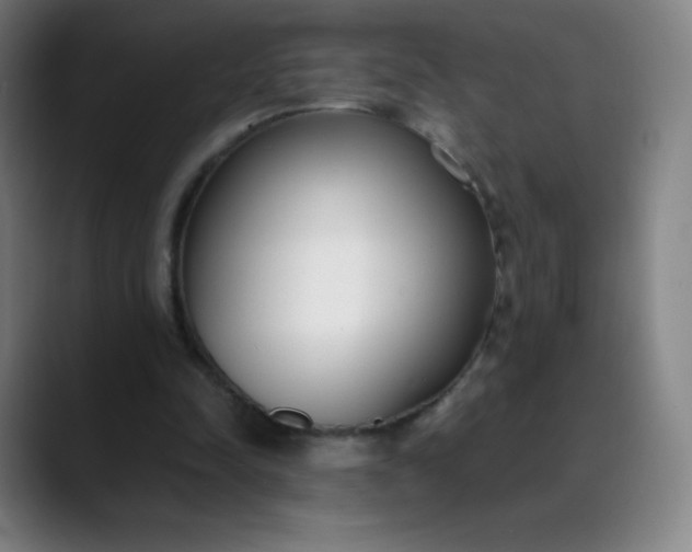 X0000089870342200707121758