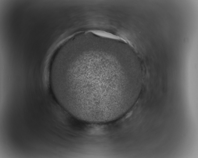 X0000089870343200707121758