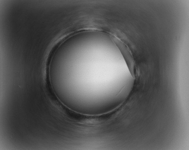 X0000089870344200707121758