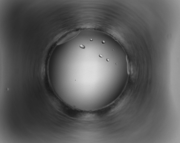 X0000089870348200707121758